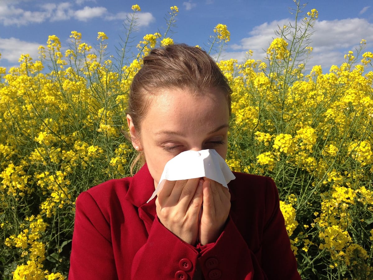 Prepare For Allergy Season This Fall