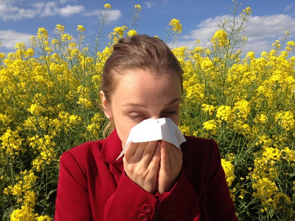 A woman sneezing in a field of yellow flowers.